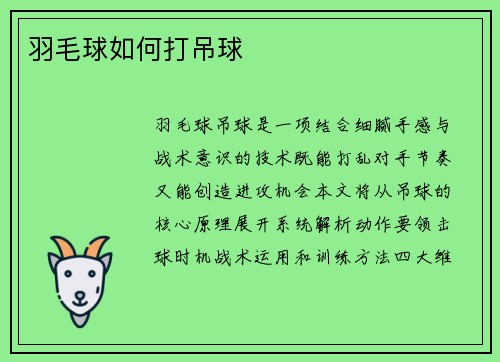 羽毛球如何打吊球