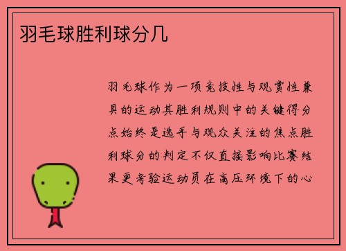 羽毛球胜利球分几